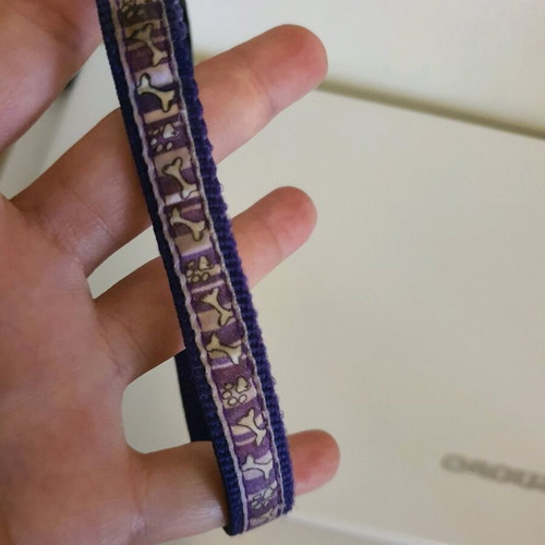 Dog leash used