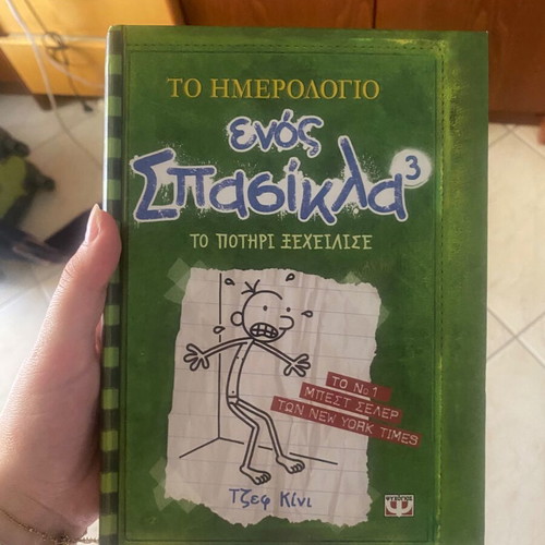 Diary of a Wimpy Kid 3 like new
