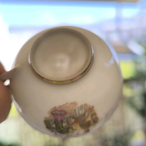Kutani porcelain cups used with lithographs and gold decoration