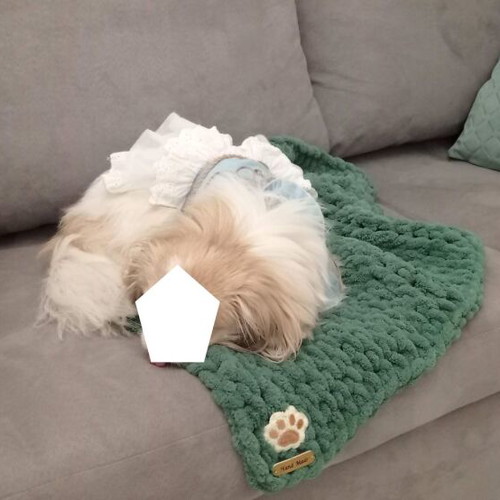 Handmade pet blanket with Alize Puffy yarn, green, made to order