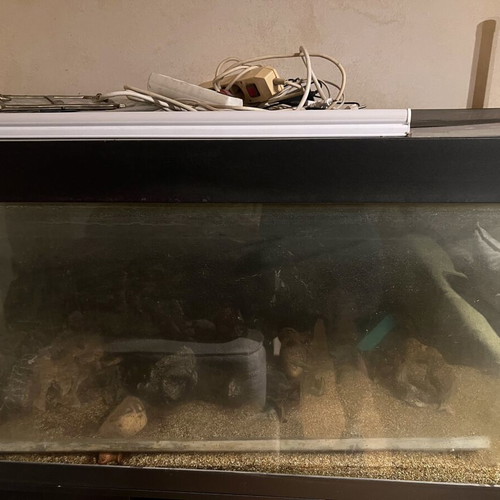 Aquarium 340 liters used, 1.20m length 50cm depth