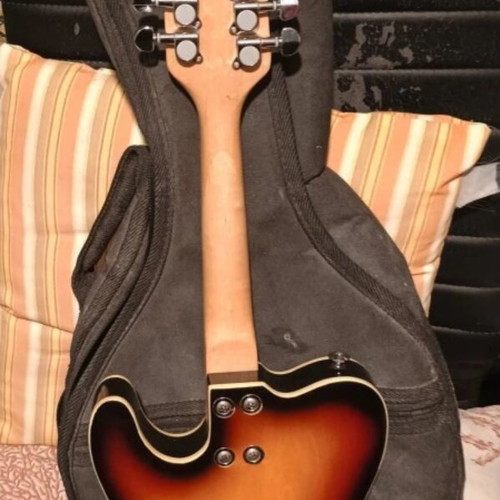 Harley Benton MA-500 VS Bluegrass Series electric mandolin with case