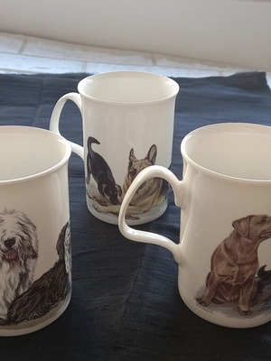 Bone China set of 4 porcelain mugs like new