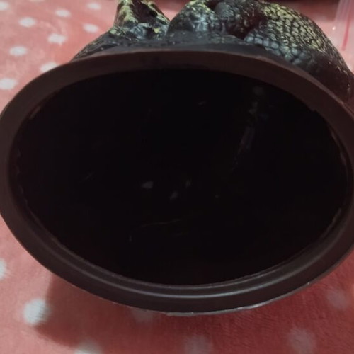 T Rex Hand Mask like new