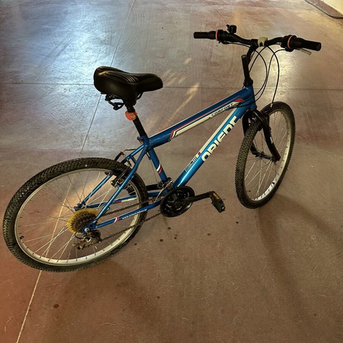 Orient Comfort city bike with anatomical saddle, blue, 26 inch