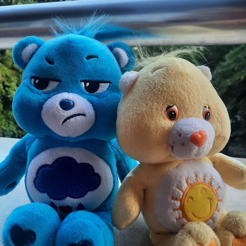 Lot of 2 original Care Bears plush toys (Grumpy & Funshine)
