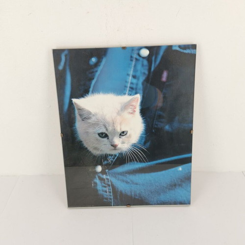 Picture frame with cat image used