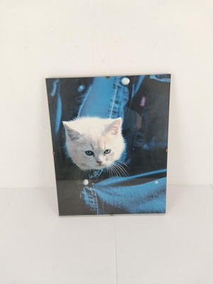 Picture frame with cat image used