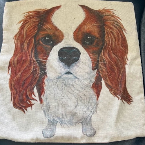 Pillow cover used 45x45 with Cavalier King Charles dog print