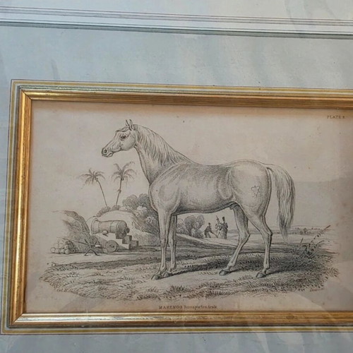 Lithograph with Horse 1841 like new