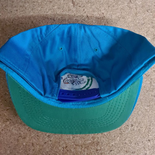 NBA Charlotte Hornets cap new jockey with adjustable snapback