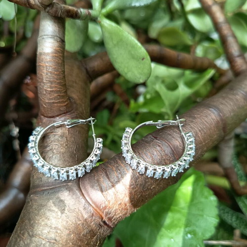Steel earrings with stones used, silver color