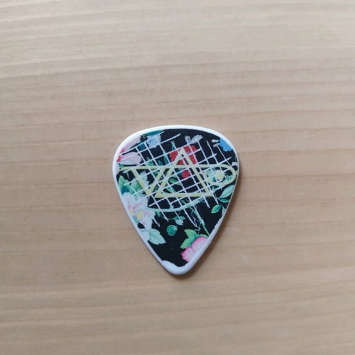 Steve Vai guitar pick authentic, like new