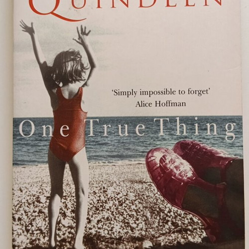 One True Thing novel by Anna Quindlen