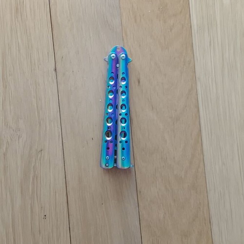 Training butterfly toy