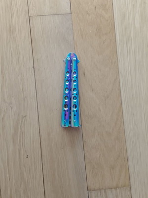 Training butterfly toy