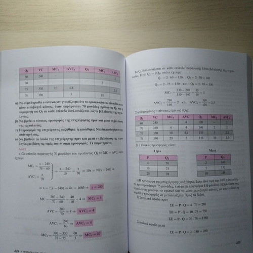 Principles of Economic Theory G’ Lyceum Savvalas like new