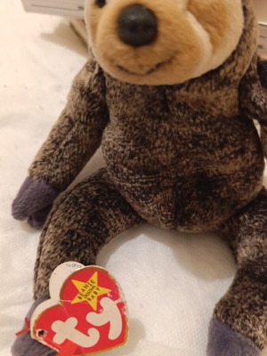 Ty Beanie Baby Slowpoke plush toy used, 1999 collectible sloth