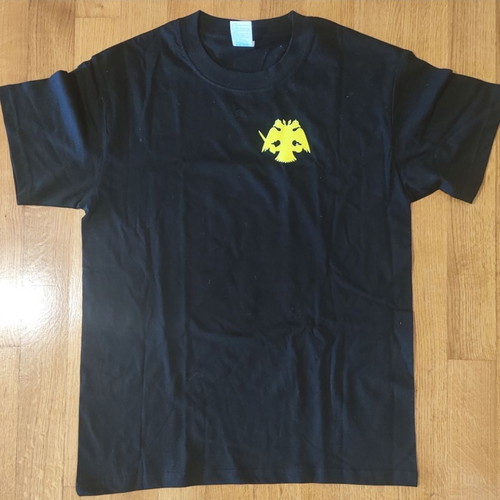 AEK Champions of Greece 2025-26 T-shirt new official replica