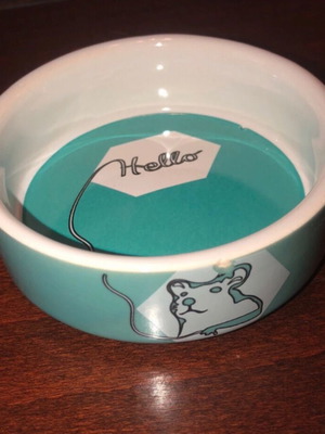 Ceramic Bowl for Troktika