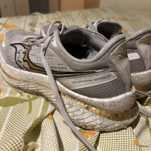 Saucony Endorphin Speed shoes used
