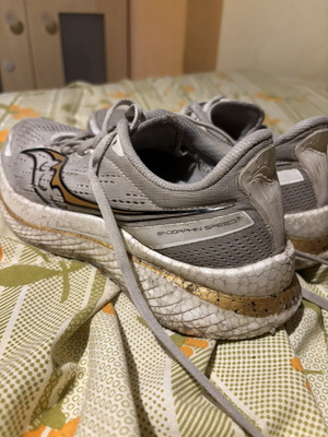 Saucony Endorphin Speed shoes used