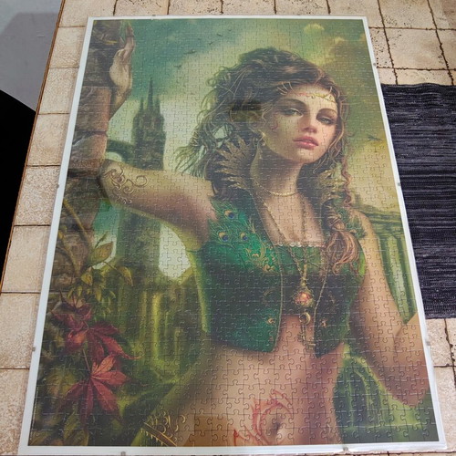 Puzzle set of 2 framed 1000-piece puzzles by Heye, like new