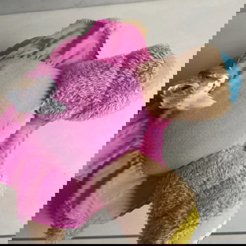 Fisher Price σκυλάκι με ήχους σαν καινούργιο