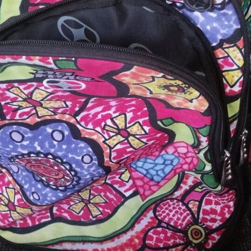 School or travel backpack and trolley 30l like new No Fear