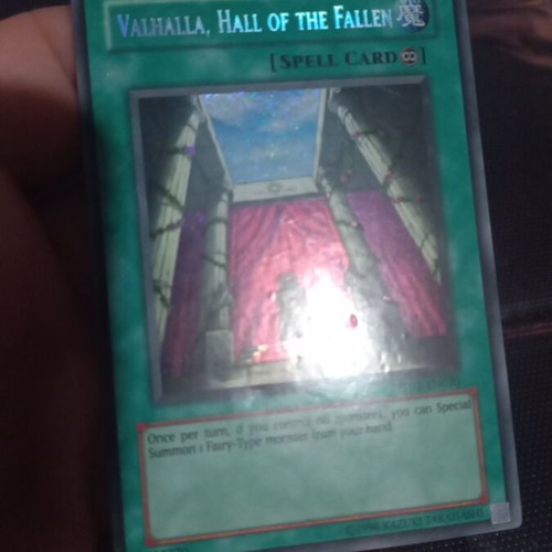 Valhalla, Hall of the Fallen PP02-EN020 Unlimited card used