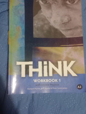 Cambridge A2 English Workbook used