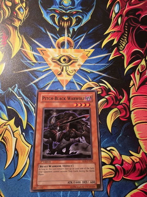 Pitch Black Warwolf 1st edition used