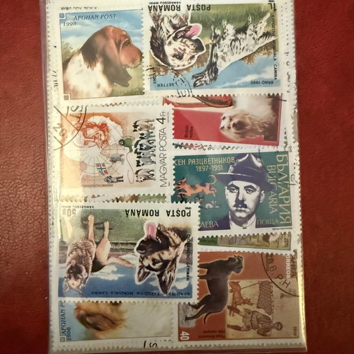 World Philatelic Lot 50 Stamps Thematic Dogs & Pets like new