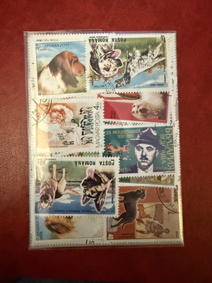 World Philatelic Lot 50 Stamps Thematic Dogs & Pets like new