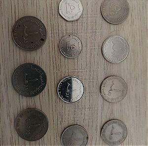 11 x UAE coins