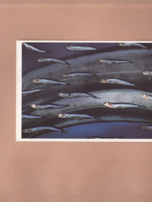 PostArt Cards #90 Carmel Stewart σαν καινούργιο, έτος 1997