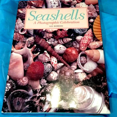 Book Seashells - A Photographic Celebration N.R. Gordon hardcover like new