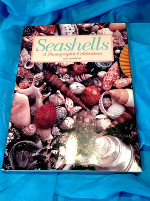 Book Seashells - A Photographic Celebration N.R. Gordon hardcover like new