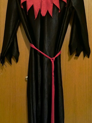 Carnival costume Trosmos for 10 years like new