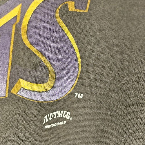 NBA Nutmeg 1993 Phoenix Suns sweatshirt used, authentic