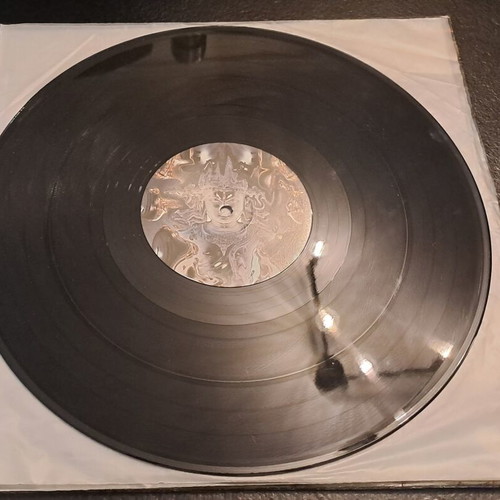 Shakta Silicon Trip LP used, electronic genre