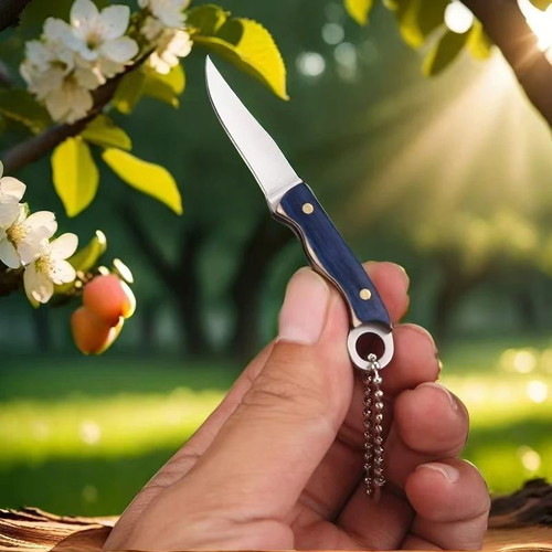 Mini tail ring knife new with keychain, wooden handle