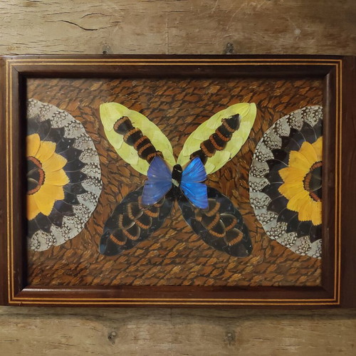 Handmade wooden serving tray with real butterfly wings, used