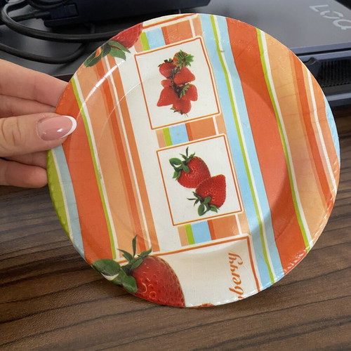 Set of 5 plastic plates
