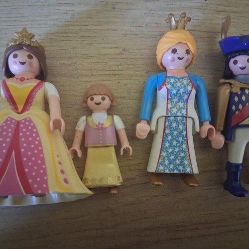 Playmobil 5456 fairies 40 years anniversary set used