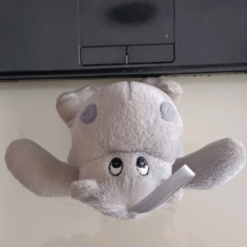 Plush hippopotamus used