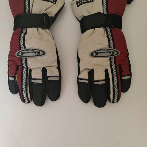 Ski gloves used