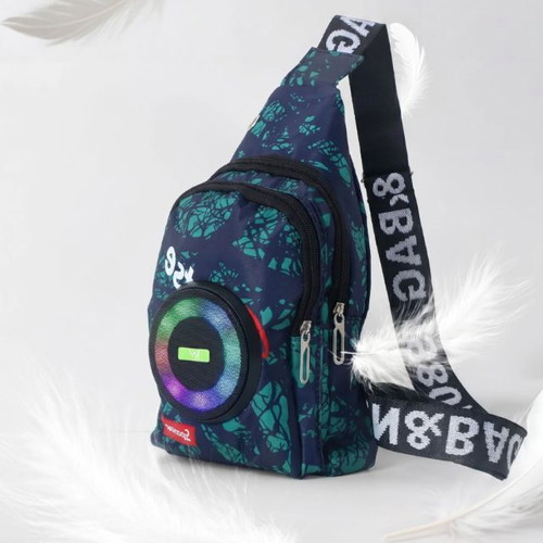 VibeCarry Pro Bluetooth Bag Speaker with LED Lights and Power Bank