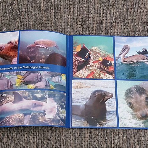 Photo albums like new, pack of 5 with flower, landscape, animal collections