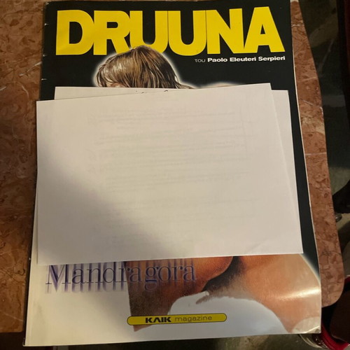 Druuna-mandragora comic used, Paolo Eleuteri Serpieri